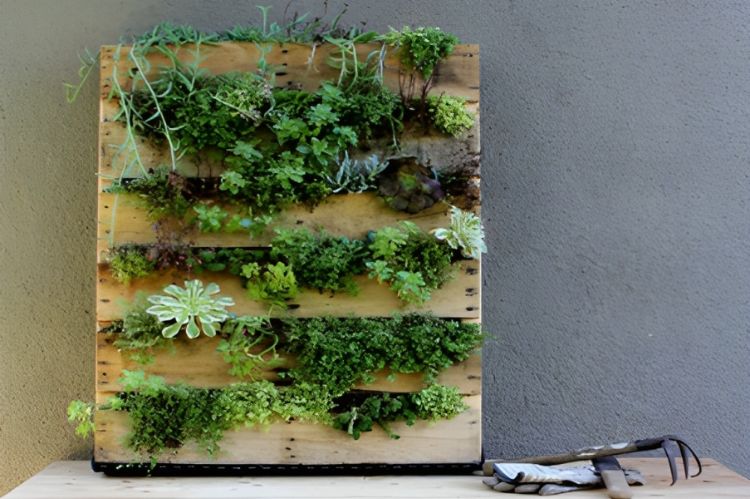Create a Vertical Garden Using a Pallet and a Variety of Plants.-Boho Plant Decor