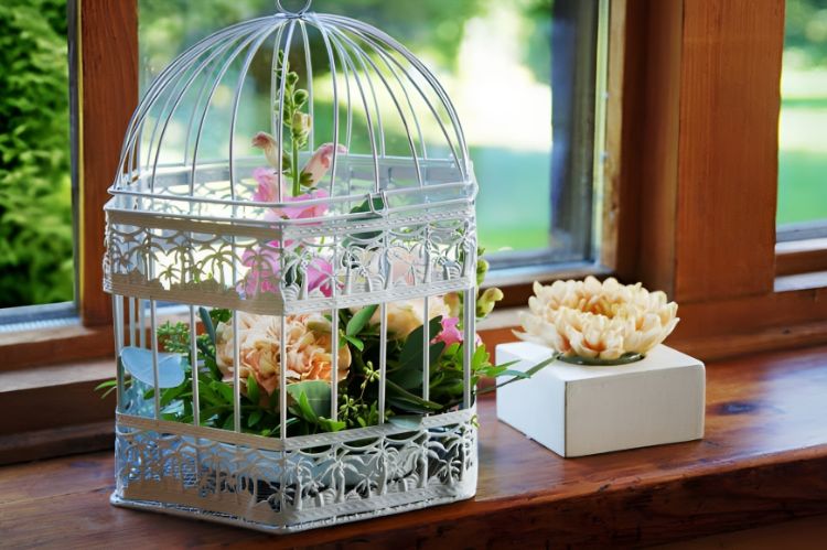 Use a Vintage Birdcage to Display a Variety of Succulents and Cacti.
